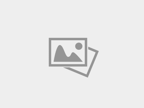 В библиотеке Вышнего Волочка отметили день рождения «Союзмультфильма»